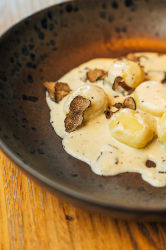 Gnocci Trueffel Restaurant Mio Speyer In Der Altstadt Fotograf Studio Sipz Tim Ebert